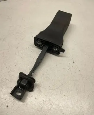 Volkswagen Golf VII Rear door check strap stopper 5G0839267 5G4839249A