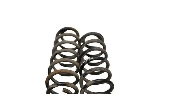 Rear coil spring
