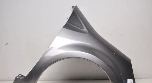 Renault Modus Front mudguard 