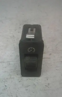 Panel lighting control switch