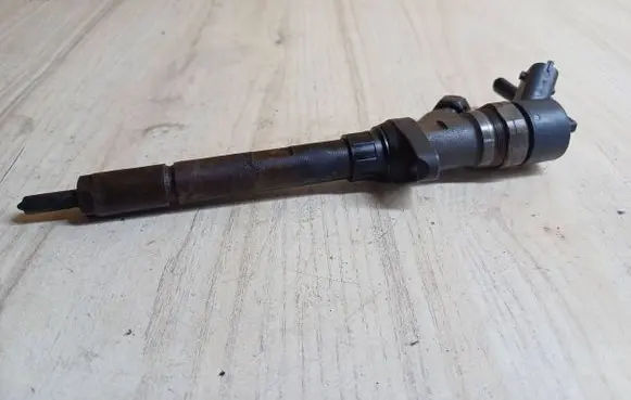 Citroen C5 Fuel injector 0445110036