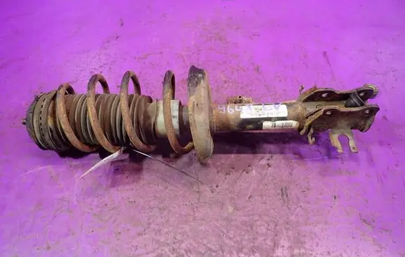 Fiat Punto (199) Front shock absorber with coil spring 