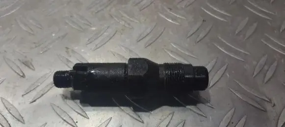 Citroen Berlingo Fuel injector lcr6736001