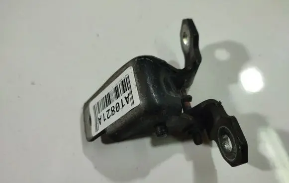 Renault Scenic III - Grand scenic III Rear door lower hinge