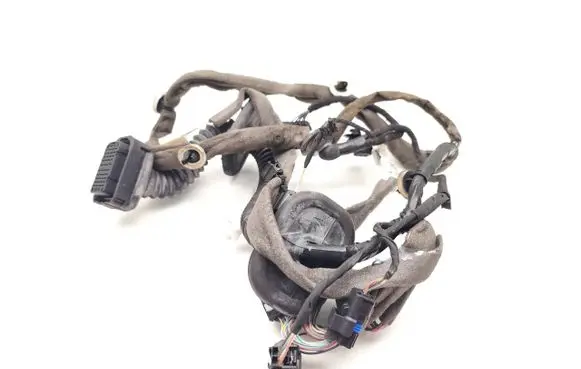 Renault Scenic III - Grand scenic III Front door wiring loom 241259931R