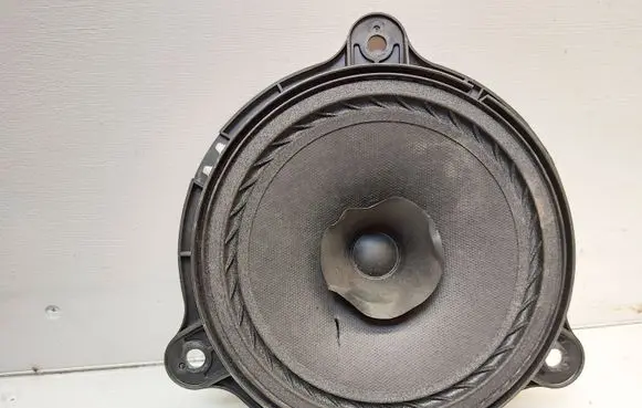 Nissan Juke I F15 Rear door speaker 28156EE500