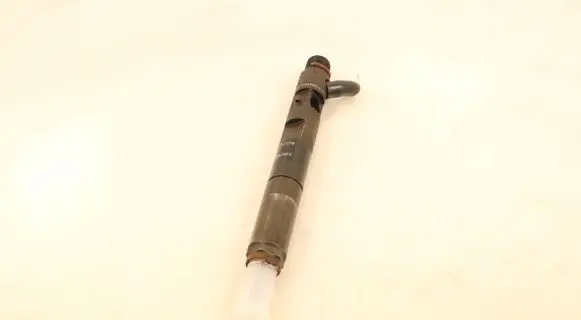 Renault Kangoo I Fuel injector EJBR04001D