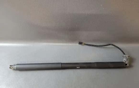 Tailgate/trunk strut/damper