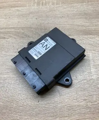 Opel Signum Door control unit/module 13111458