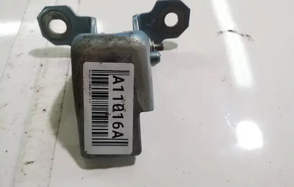Renault Fluence Rear door lower hinge 