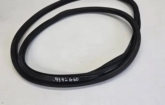 BMW 5 G60 G61 Front door rubber seal 5A05896