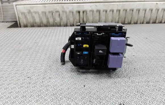 Renault Modus Fuse module