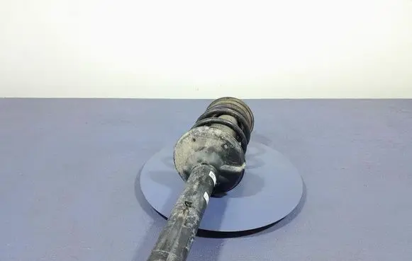 Porsche Cayman 981 Rear shock absorber/damper 982512019K