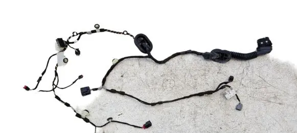 Ford F150 Front door wiring loom JL3T14630 JL3T14630BD CUH6E