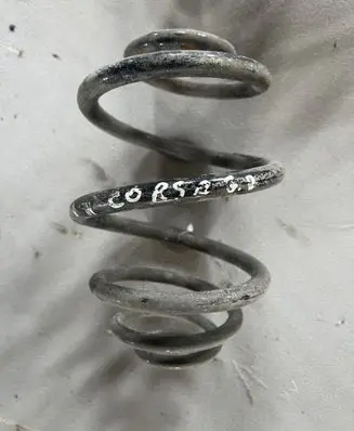 Rear coil spring