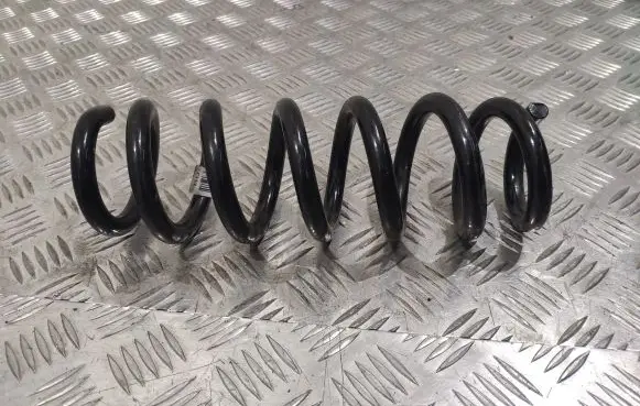 Rear coil spring
