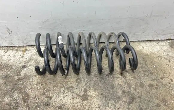 Rear coil spring