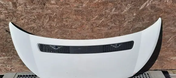 Fiat Scudo Engine bonnet/hood