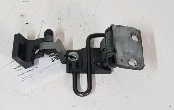 Rear door lower hinge