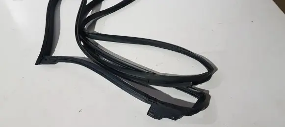 Renault Koleos II Rubber seal front door (on door) 808301034R