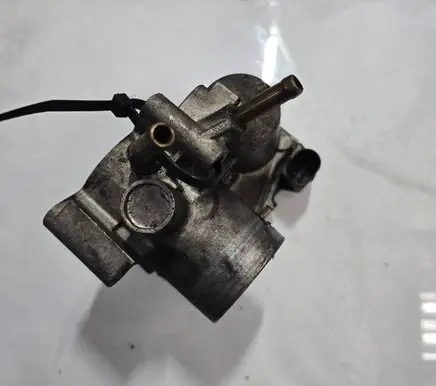 Throttle body valve
