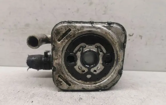 Oil filter mounting bracket