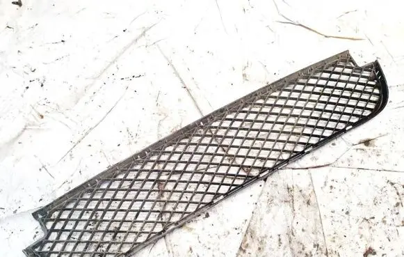 BMW X3 E83 Front bumper lower grill 5111341620304 51113416203-04