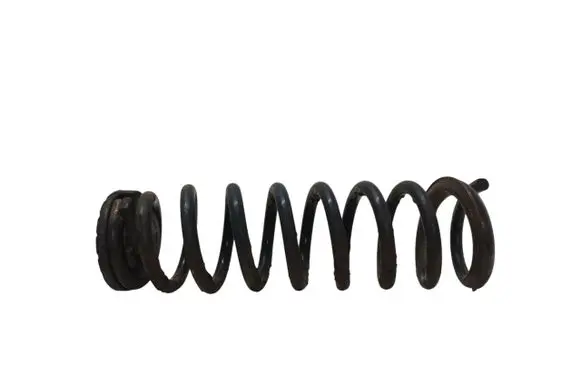 Rear coil spring