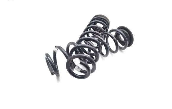 Rear coil spring