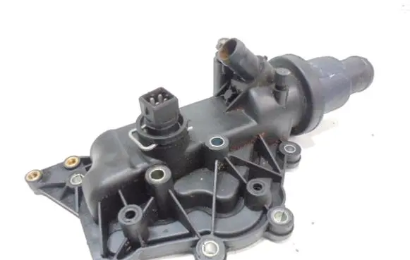 Renault Megane II Thermostat housing D2R013TT