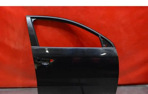 Volkswagen PASSAT B6 Front door 