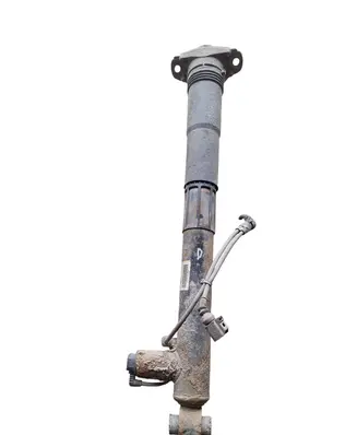 Rear shock absorber/damper