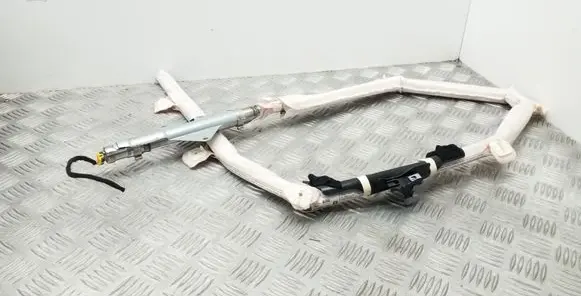 Seat Exeo (3R) Roof airbag 3R5880742