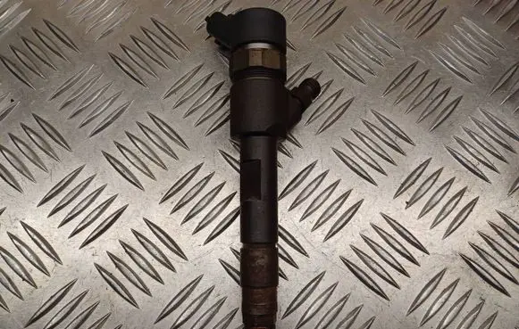 Suzuki Grand Vitara II Fuel injector 0445110230 8200389369