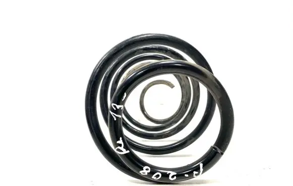 Front coil spring