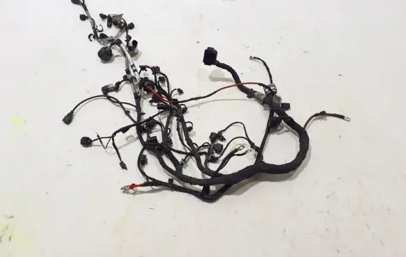 Engine installation wiring loom