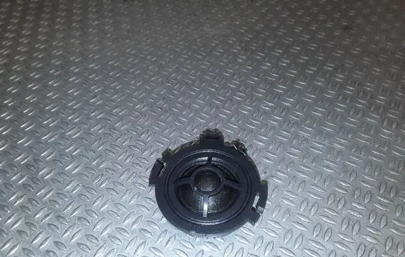 Front door high frequency speaker
