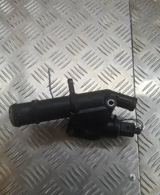 Thermostat/thermostat housing