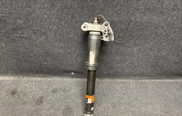 Chevrolet Camaro Rear shock absorber/damper 84219920 812952729 2220300000000L
