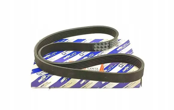 Fiat 500L Alternator belt 7766684