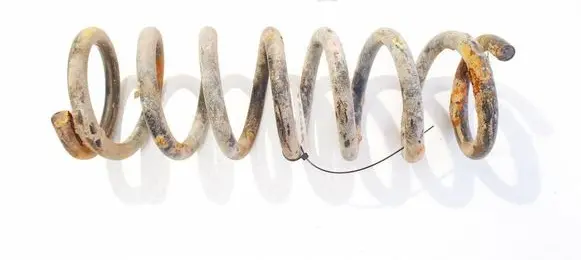 Rear coil spring