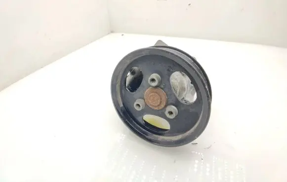 Porsche Cayenne (9PA) Power steering pump
