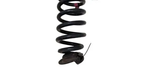 Ford Explorer VI Rear coil spring LB5C5560 LB5C5560NE Q48PA