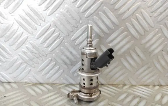 Citroen C3 Fuel injector 9813930180 P283B02060