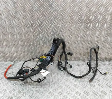 Engine installation wiring loom