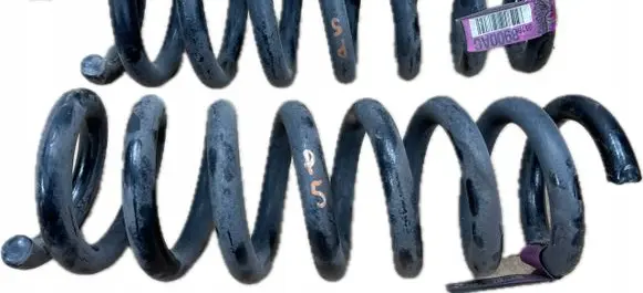 Dodge Charger Rear coil spring 05168900AC