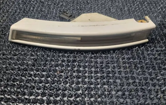 Volkswagen PASSAT B6 Front indicator light 3C0807717