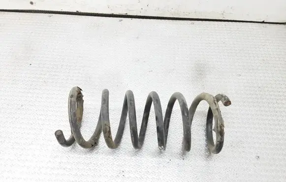 Ford S-MAX Rear coil spring