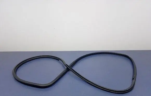 Toyota Camry Front door rubber seal 