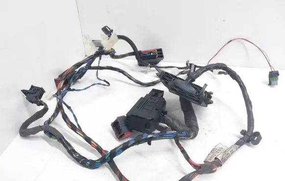 Opel Vectra C Front door wiring loom 24419037